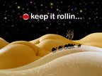 WTF ROLLING TRAY- HUMAN BODY ART SERIES- ASS